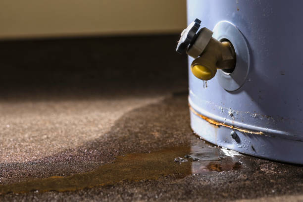 Best Water damage restoration near me  in Pine Bluffs, WY