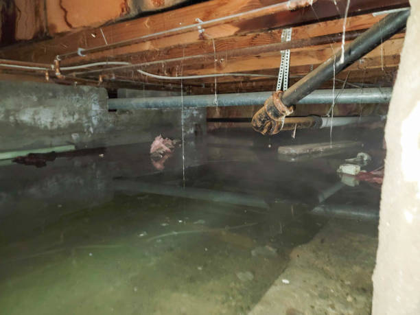  Pine Bluffs, WY Water damage restoration Pros