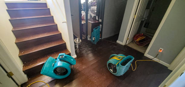 Best 24/7 water damage repair  in Pine Bluffs, WY