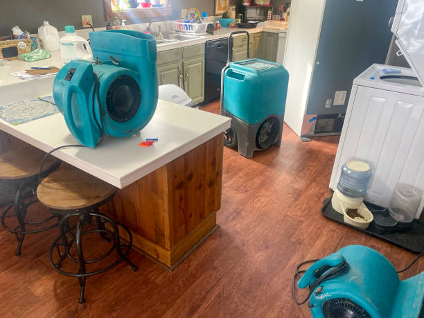 Best Commercial water damage restoration  in Pine Bluffs, WY