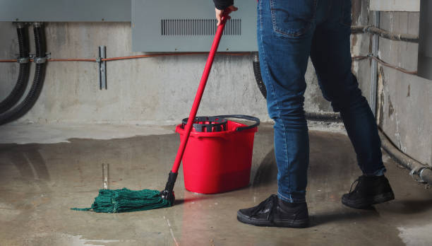 Best Basement water damage restoration  in Pine Bluffs, WY