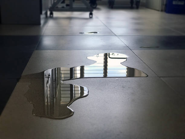 Best Professional water damage repair  in Pine Bluffs, WY