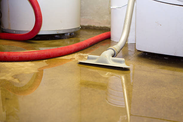 Water damage restoration experts in WY