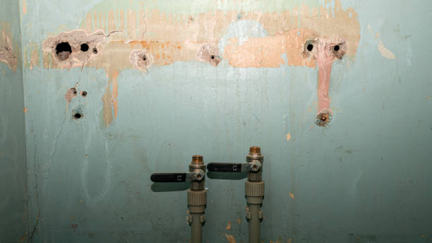 Best Sewage cleanup and water damage restoration  in Pine Bluffs, WY