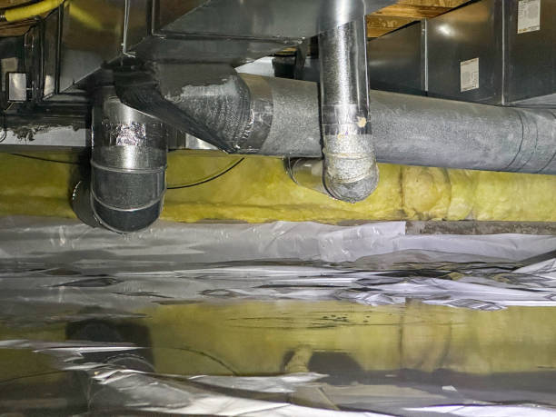 Best Professional water damage repair  in Pine Bluffs, WY