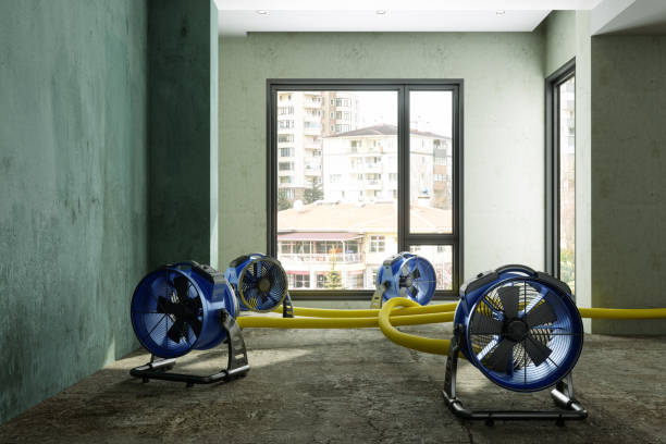 Best Mold removal after water damage  in Pine Bluffs, WY