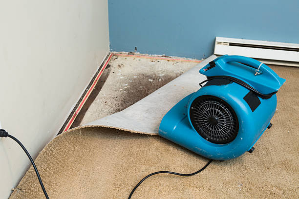 Best Residential water damage restoration  in Pine Bluffs, WY