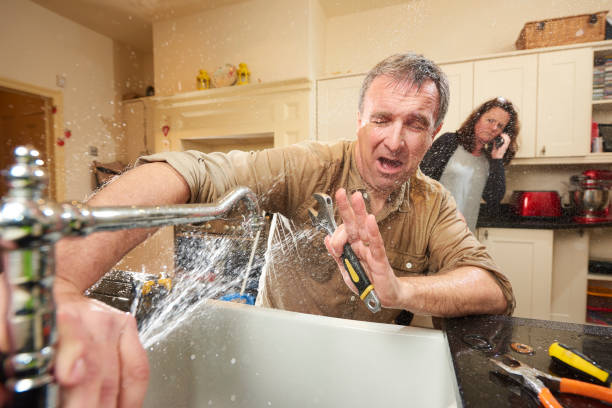 Best Local water damage restoration  in Pine Bluffs, WY